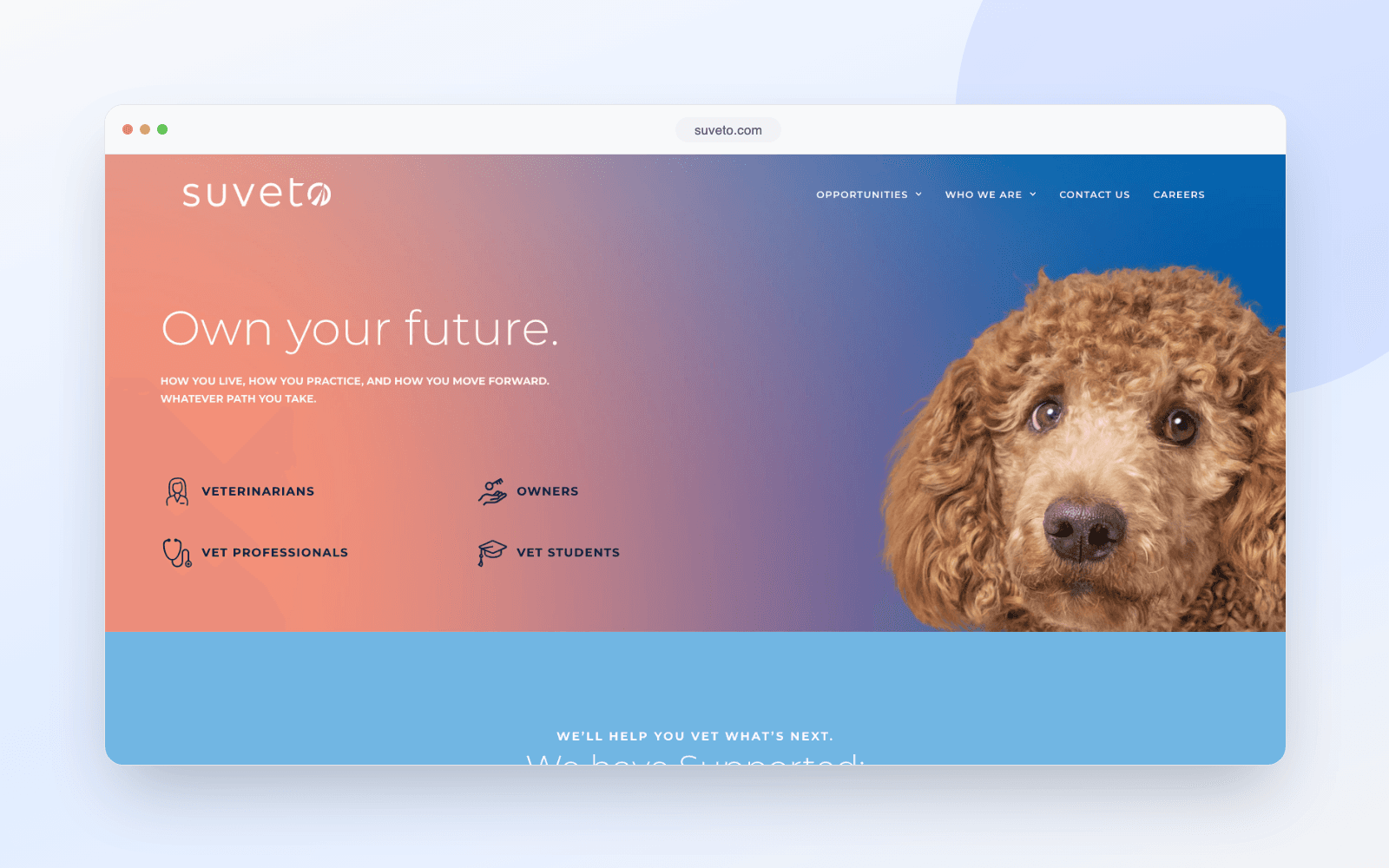 Suveto, the veterinary hospital network Veazie Veterinary Clinic belongs to